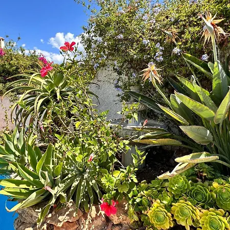 Chimenea 15 Private Pool & Parking By Casasol