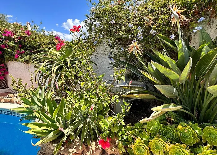 Chimenea 15 Private Pool & Parking By Casasol